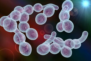 Agente patogeno che causa la prostatite batterica negli uomini