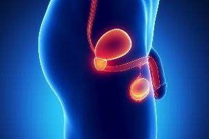 Infiammazione della prostata